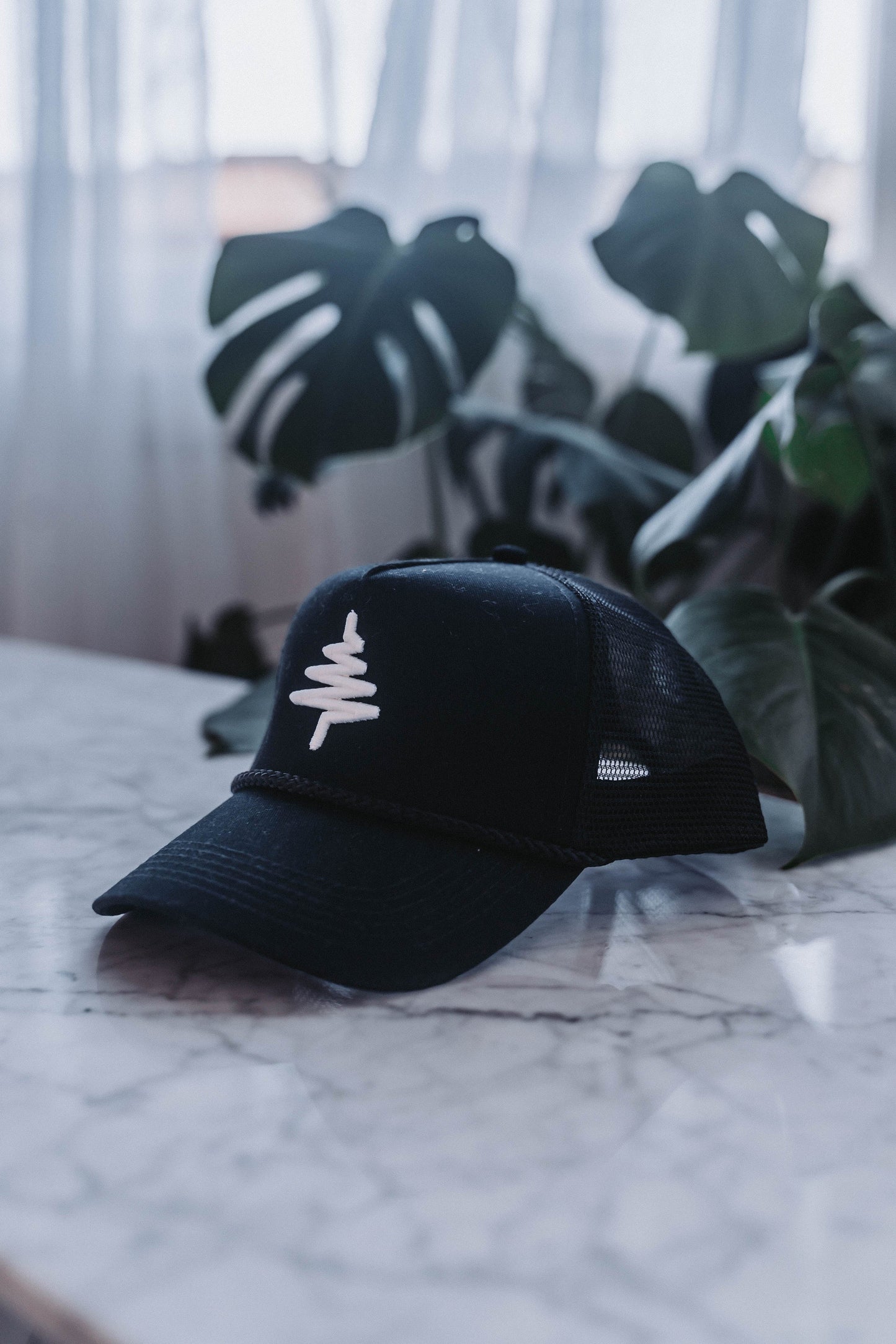 PACLAND TRUCKER HAT HAT PACIFIC WONDERLAND SHOP